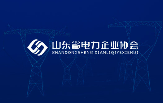 山東電力企業協會